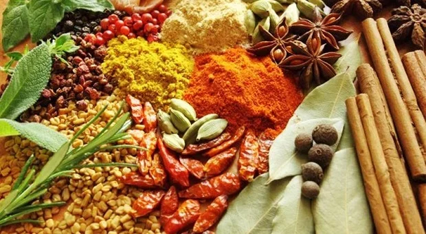10 Herbs and Spices You Should Use — Healthdigezt.com
