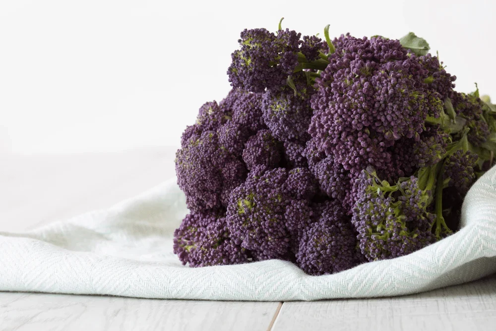 Table Broccoli Tea Have You Already Tried Broccoli Tea? — Healthdigezt.com