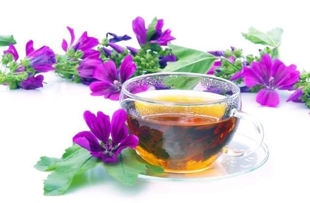Tea Malbasic Reasons for You to Consume Malva Tea — Healthy Builderz