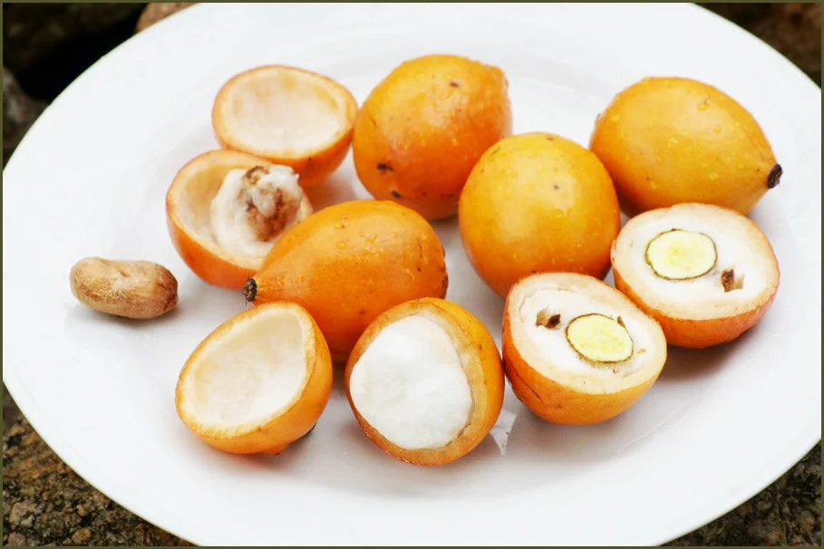 Health Benefits of Achacha — Healthy Builderz