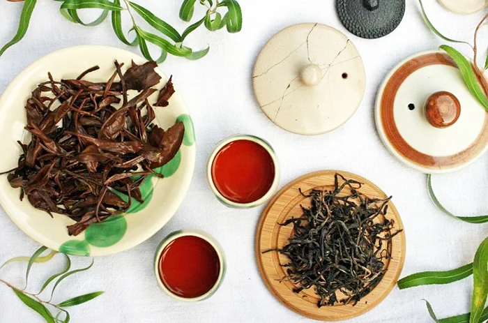 Asay Tea What is Assam Tea and Why Should You Drink It? — Healthy Builderz