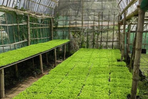 615812756_10241586392014756_6381306289725968241_n