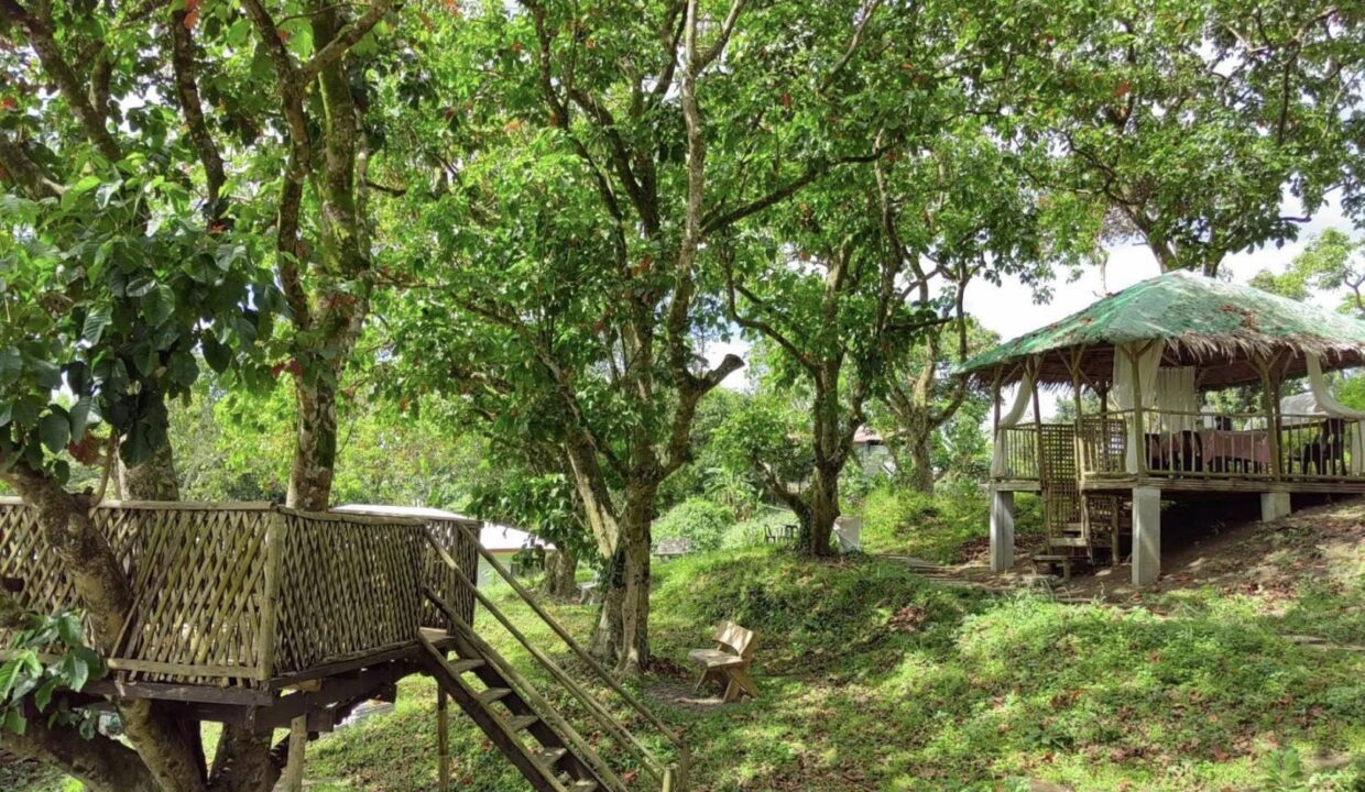 616013146_10241586407135134_1268320318629064324_n