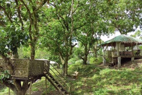 616013146_10241586407135134_1268320318629064324_n