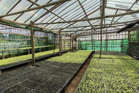 616115277_10241586407495143_1136998363496700318_n