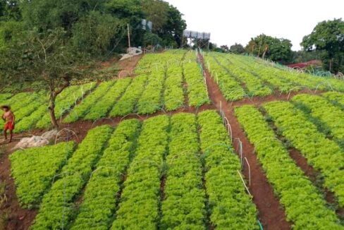 616619970_10241586391254737_8998599432980112838_n