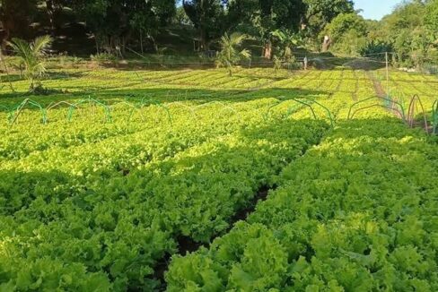 616630407_10241586390734724_4995499681196924821_n