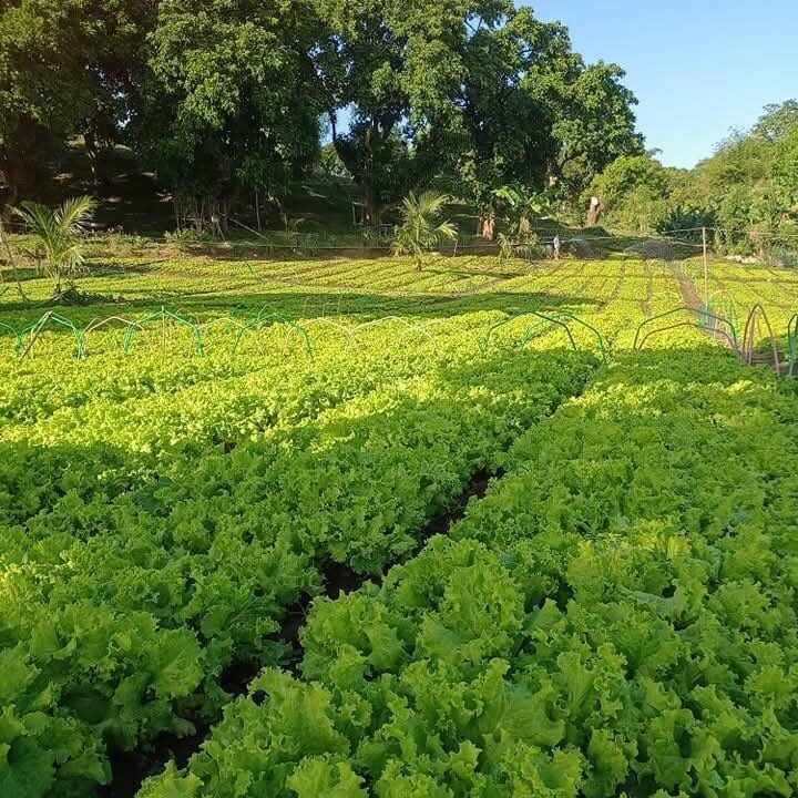 616630407_10241586390734724_4995499681196924821_n