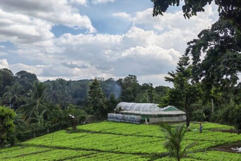 618275552_10241586406575120_9038348221441291089_n