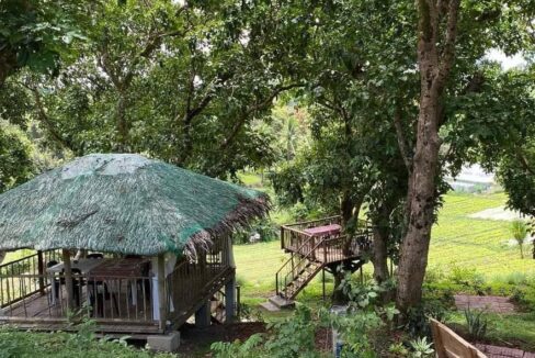 619386646_10241586390774725_551089098388505464_n