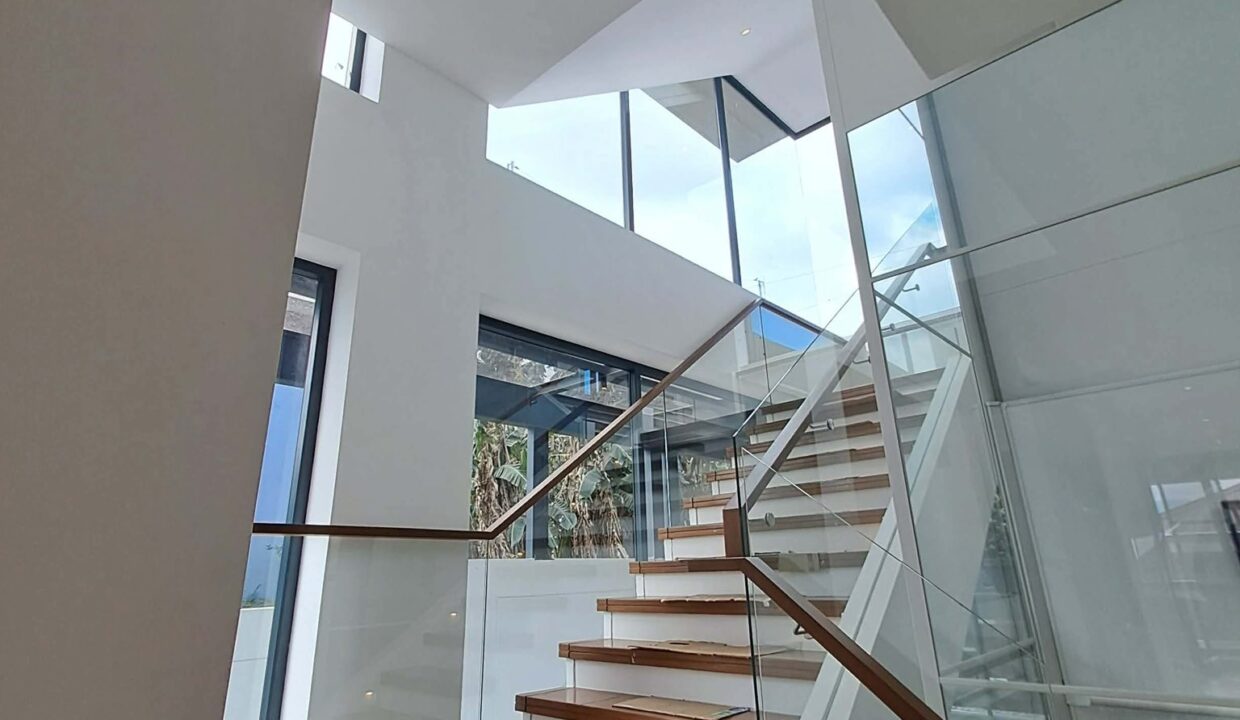 651006218_10242503759628373_4657452487707606242_n