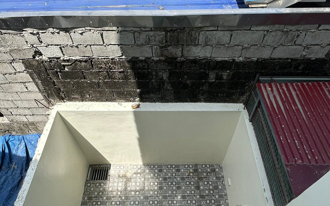 662870961_10242881468590861_6655946938810744610_n