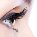 8 Random Facts About Your Eyelashes Homepage