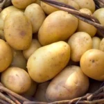 Weird Beauty Secrets That Work Homepage