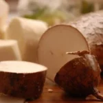 Breakthrough South American Plant Treatment for Infertility and Tumors Homepage