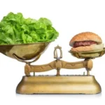 Meat vs vegetable Protein: Which one is better? Homepage