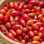 9 Beauty Benefits of Rosehip Seed Oil Homepage