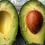 Avocados: A Quickie on Preparation, Nutrition and Storage Homepage