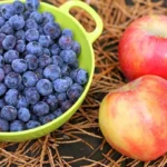 5 Carbohydrate-Rich Foods to Add to Your Diet Homepage