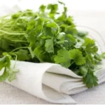 Health and Beauty Benefits of Chervil Homepage