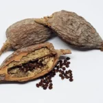 Health Benefits Alligator Pepper Brings Homepage