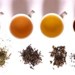 Best Teas for Every Mood Homepage