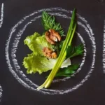 Tips on How to Start a Plant Based Diet Homepage