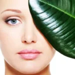 6 Herbs for Natural Beauty Homepage