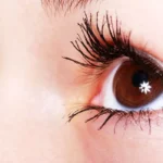 The Uses and Benefits of Olive Oil for Eyelash Growth Homepage