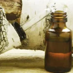 Unbelievable Beauty Uses of Birch Essential Oil Homepage