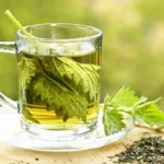 Herbs That Help Remove Toxins in the Body Homepage
