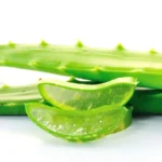 How to Make Aloe Vera Lip Balm at Home Homepage