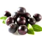 Beauty Benefits of Acai Oil Homepage