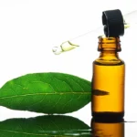 Get Rid of a Headache and Improve Your Mood With Cornmint Essential Oil Homepage