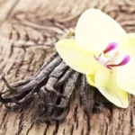 Surprising Beauty Uses for Vanilla Homepage