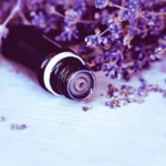 Tips on How to Use Lavender for Mind and Body Homepage